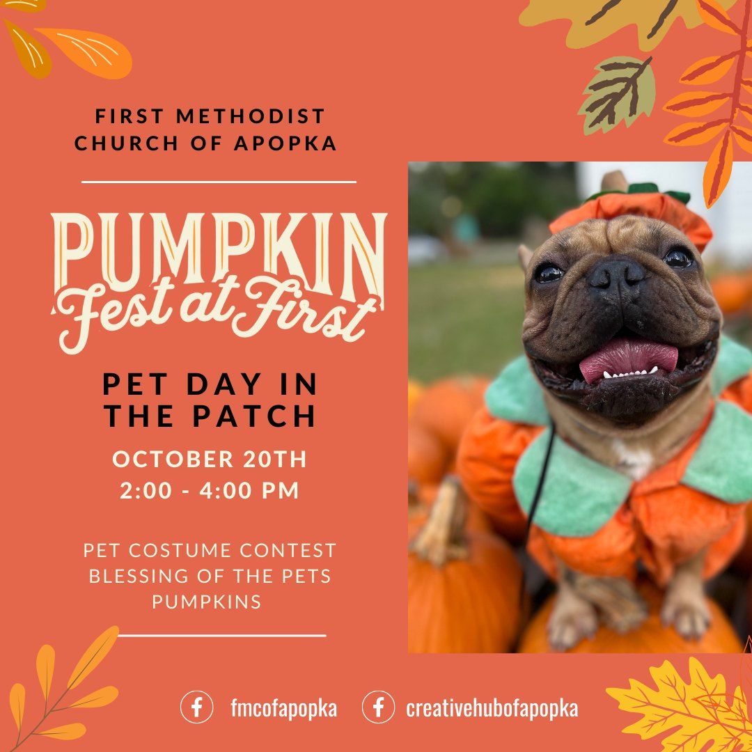 Pet Day in the Patch | Pumpkin Fest at First