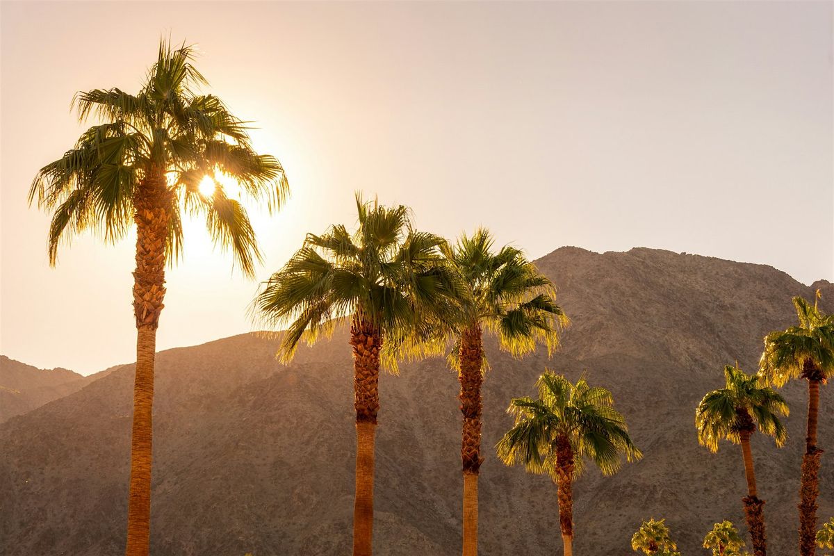 Palm Springs: City and Desert App-Guided Driving Audio Tour
