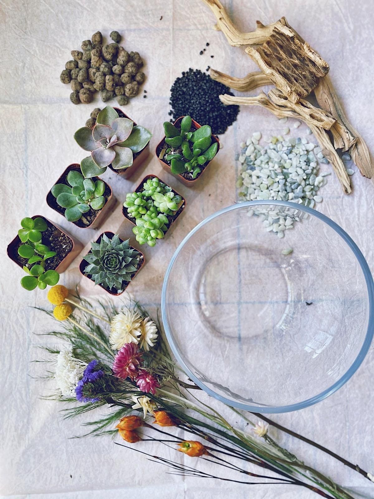 Create Your Own Miniature World: Terrarium Making Workshop