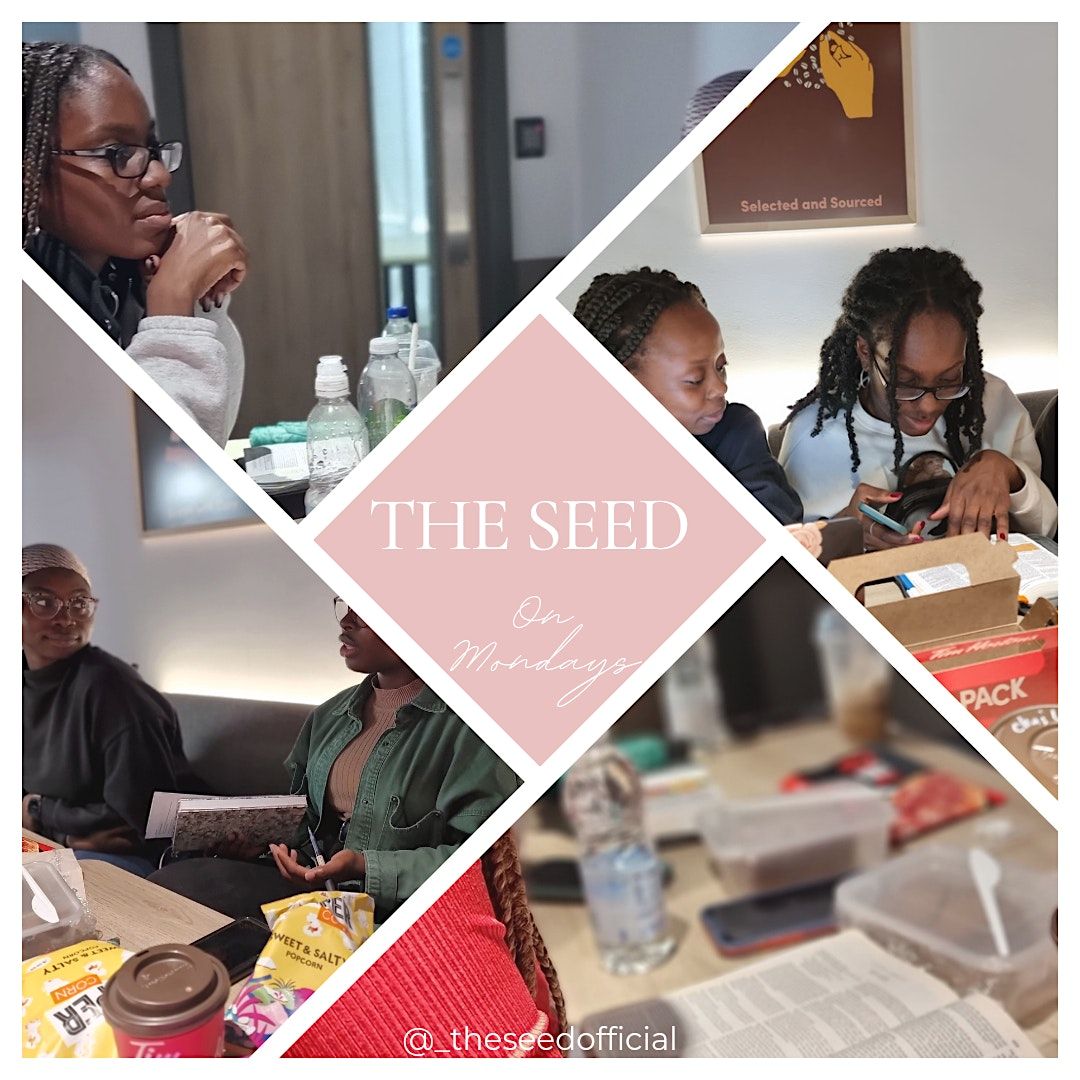 The Seed Bible Study