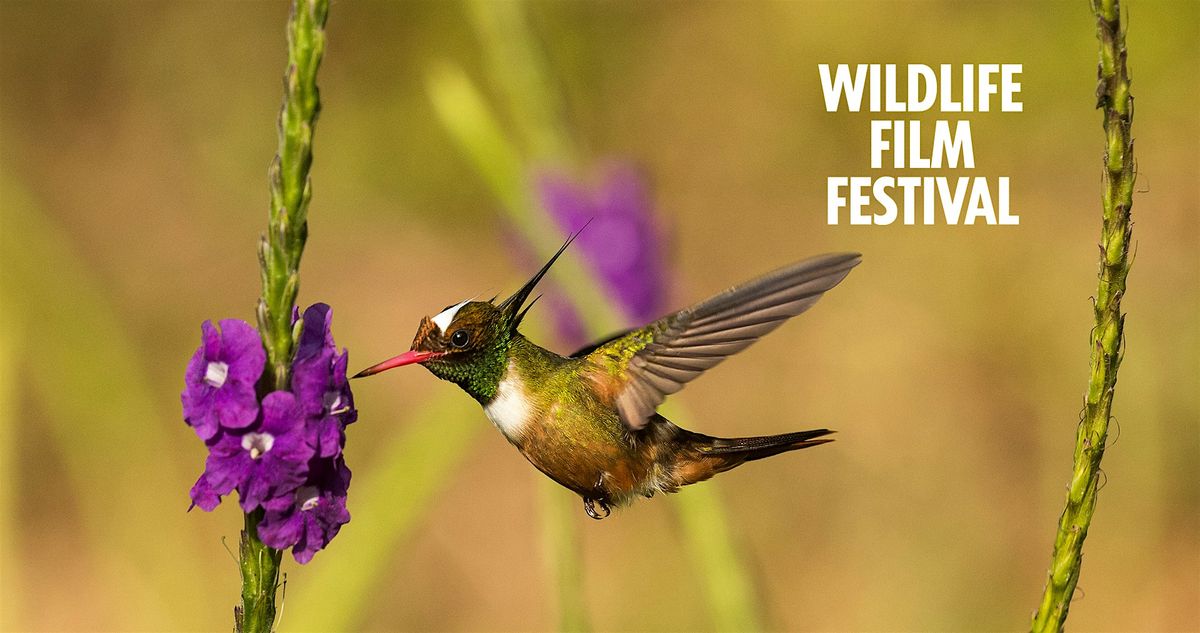 Wildlife Filmfestival X Botanische Tuin Kralingen