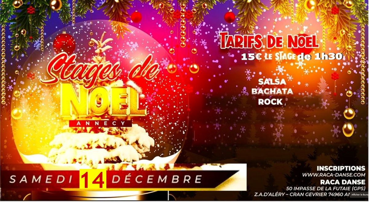 STAGES de NOEL  SPECIAL d\u00e9butants SALSA BACHATA ROCK