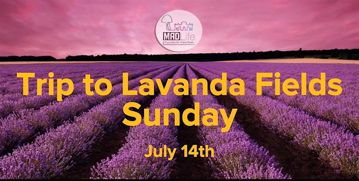 Trip to Lavanda Fields! JULY 14TH