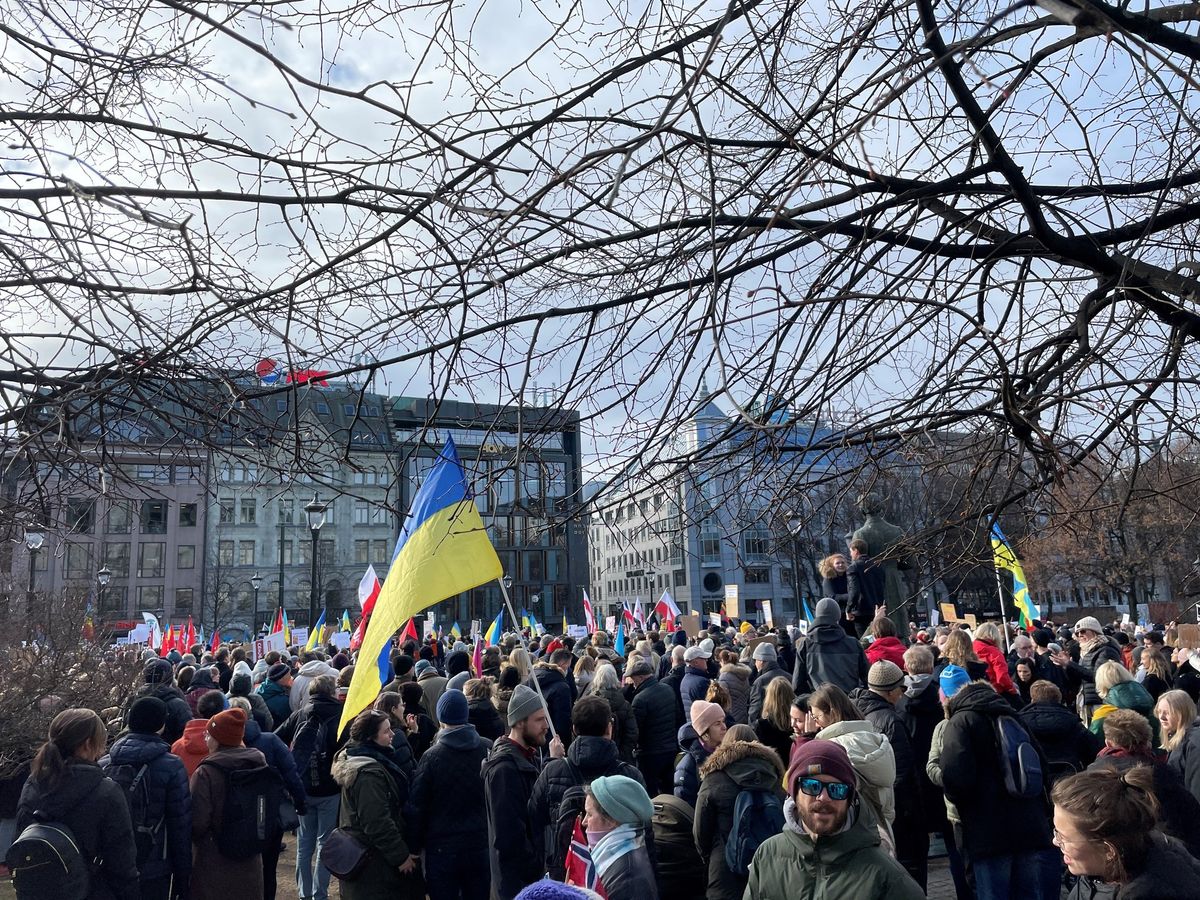 Tusen dager med motstand - solidaritetsmarkering