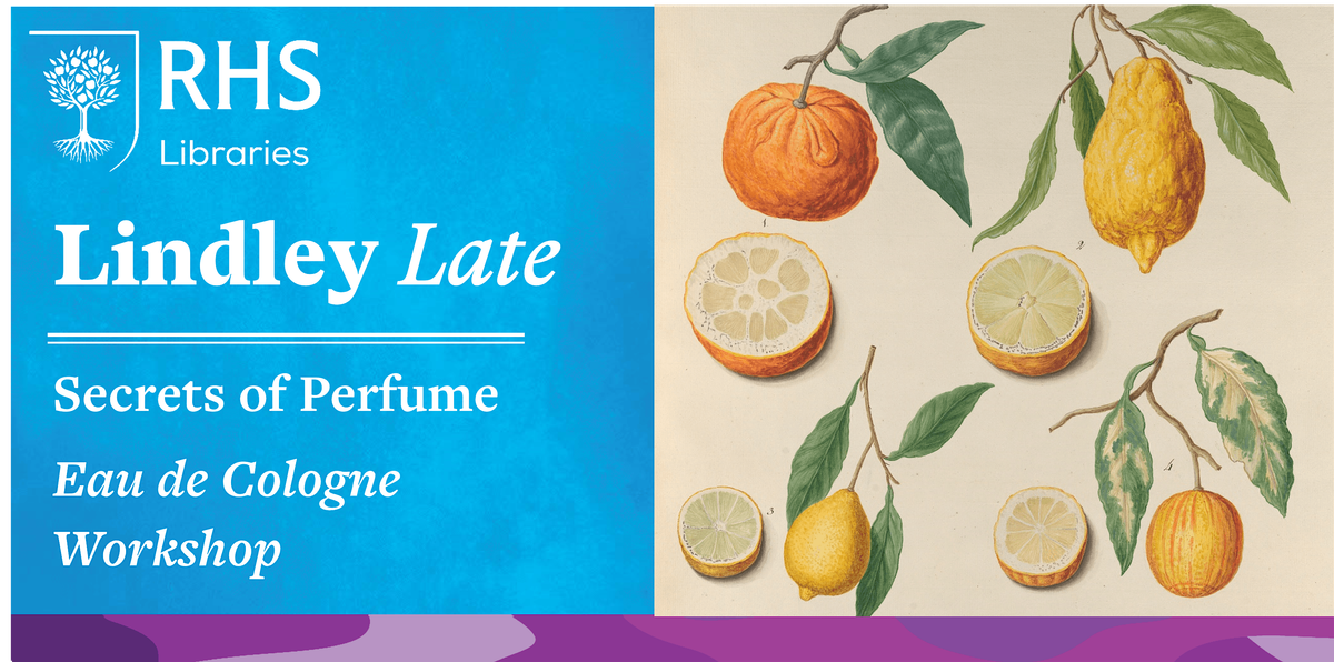 *New* Lindley Late - Secrets of Perfume: Eau de Cologne Workshop