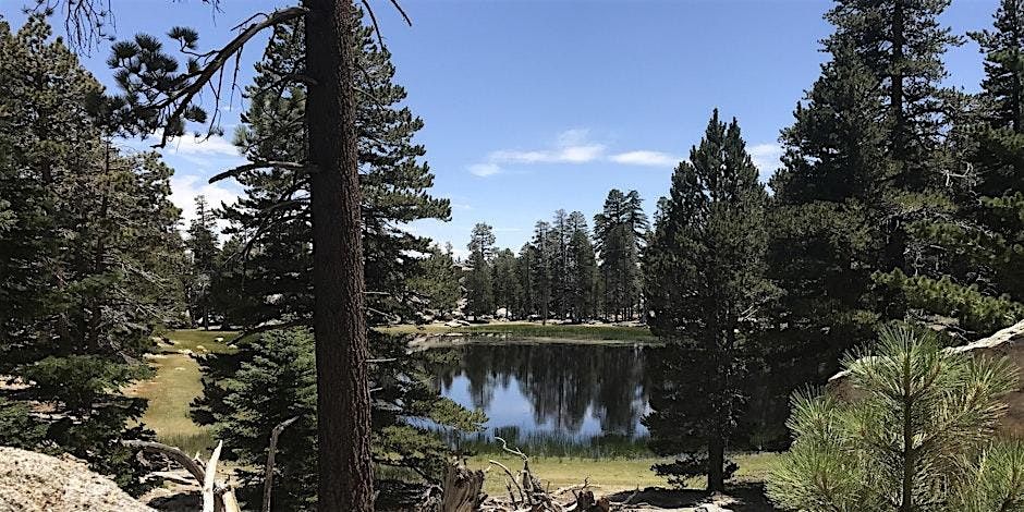 Restricted Access Hidden Lake Magic