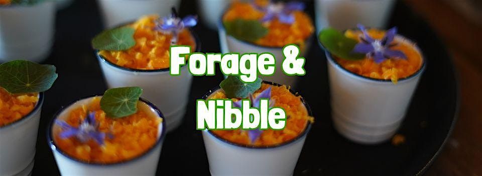 FORAGE & NIBBLE near Bolton (Lancashire)