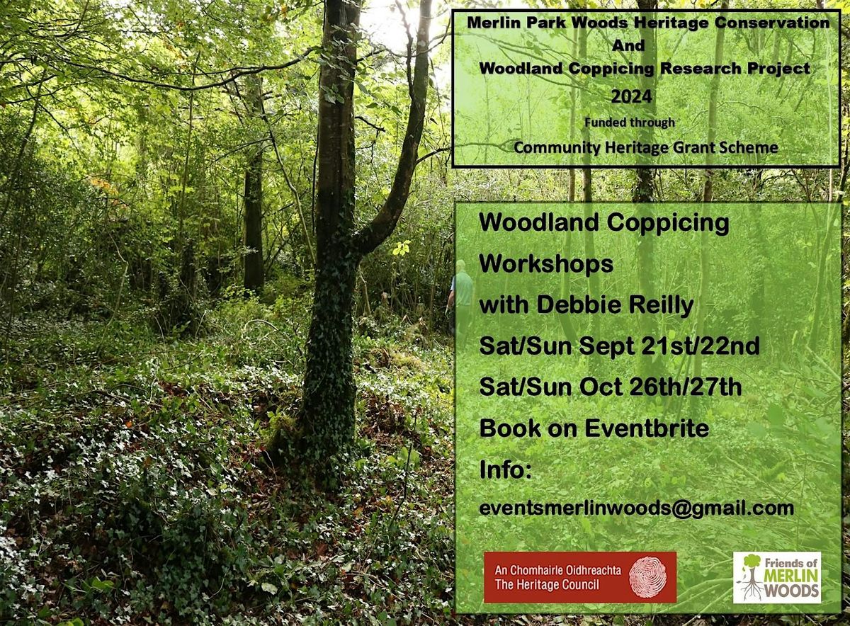 Woodland Coppicng Workshops in Merlin Woods with Debbie Reilly