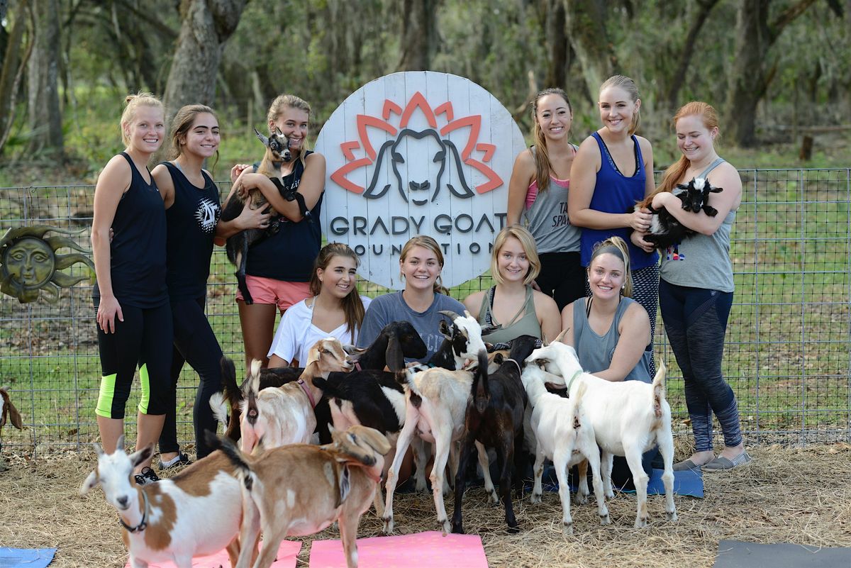 Grady Goat Yoga Tampa Bay 2024