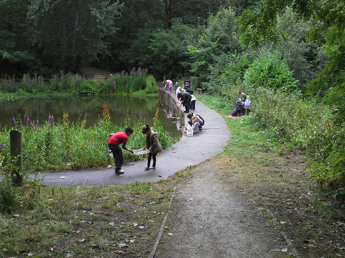 Community action day at Crabtree Pond Nature Reserve