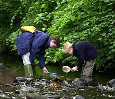 Extreme River Dipping for 8 to 12 year olds