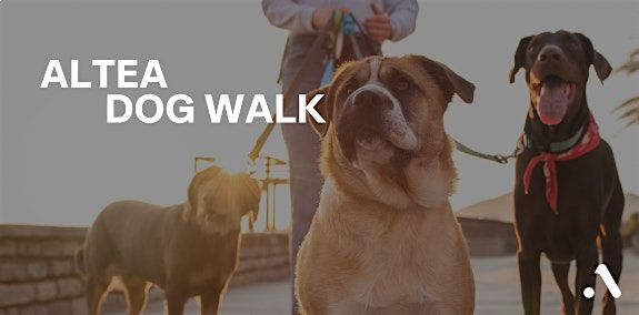Altea Dog Walk - W6