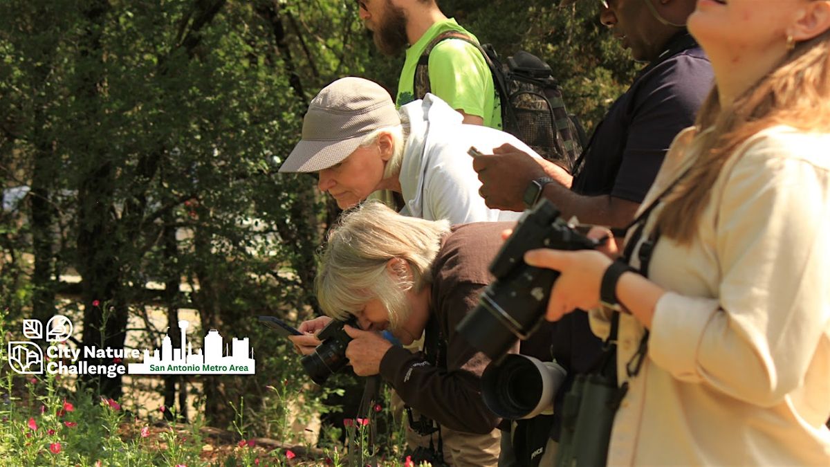 CNC Observation Walk at McAllister Park