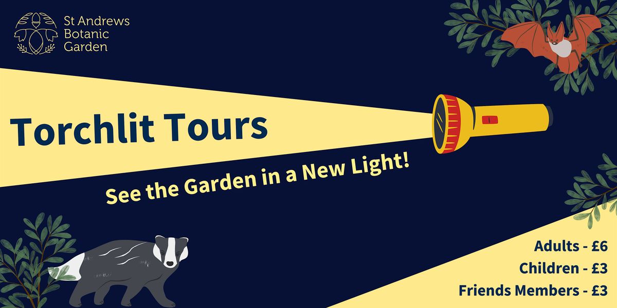 Torchlit Tours