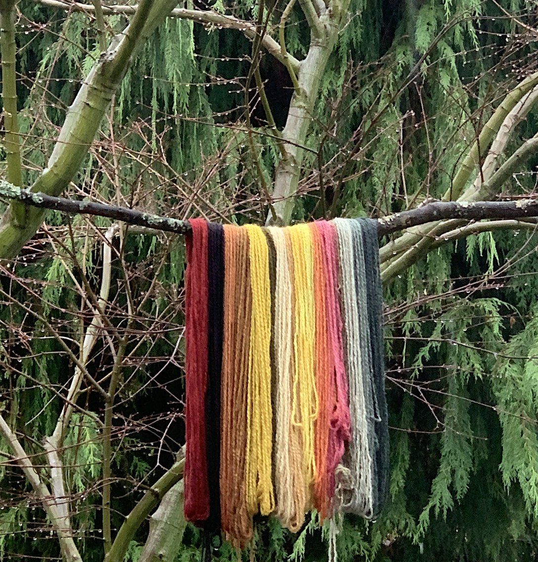 Lessons From The Land: Intro to Natural Dyeing with Rita Point Kompst