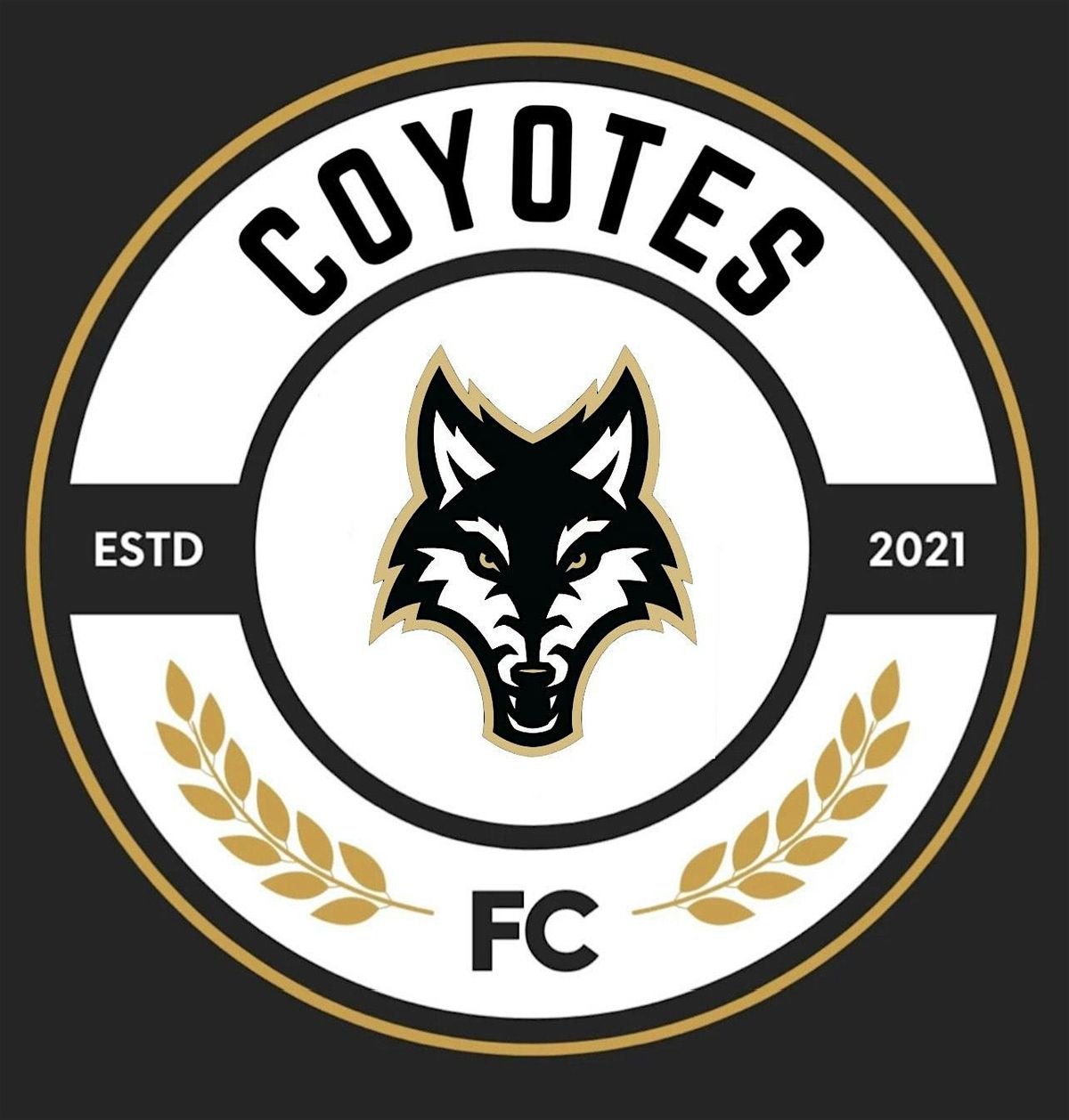 Coyotes FC - Christmas Party RSVP