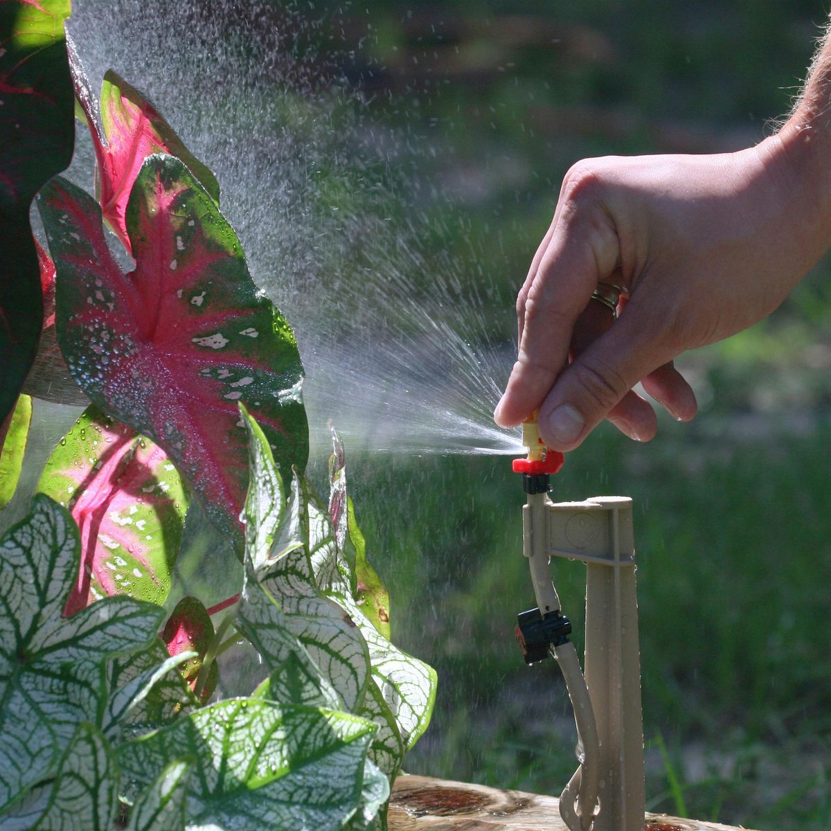 DIY Drip Irrigation Workshop