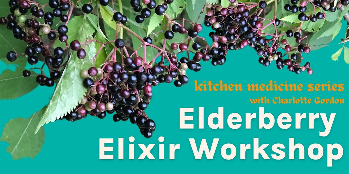 Kitchen Medicine: Elderberry Elixir Workshop at the Story Garden