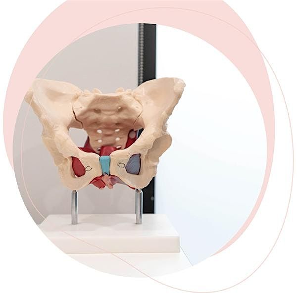 Physiotherapy Management of Faecal Incontinence Workshop