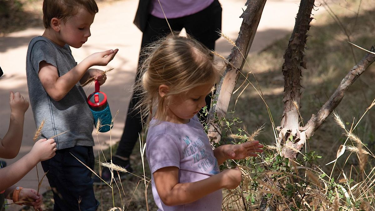 Growing Up Wild: Wildcats