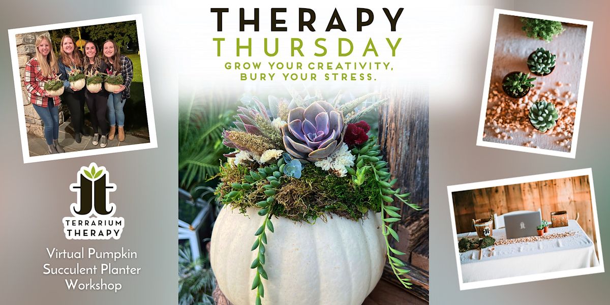 Virtual Therapy Thursday - Pumpkin Succulent Planter Workshop