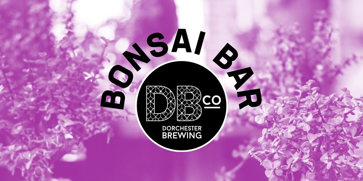 Bonsai Bar Dorchester Brewing, 1250 Massachusetts Ave, Boston, 19