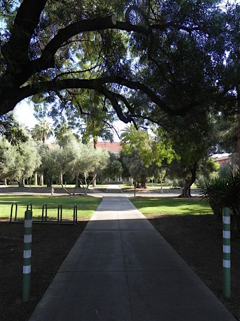 Trees around the World, a U of Arizona Campus Arboretum Tour