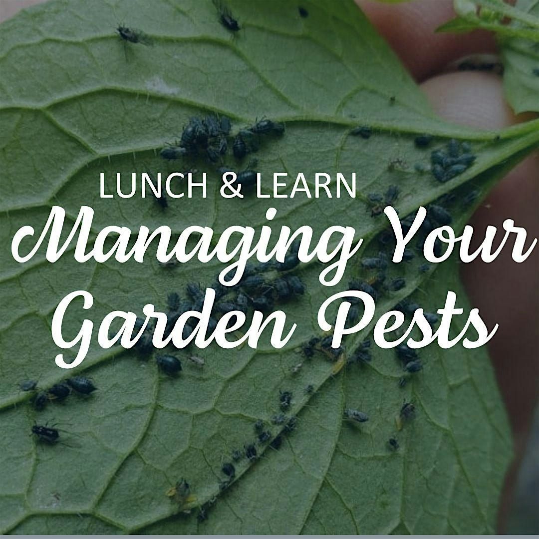 Lunch & Learn: Managing Your Garden Pests