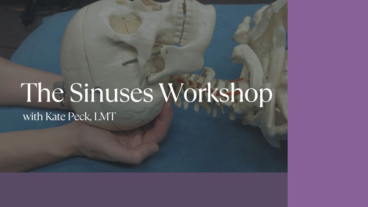 The Sinuses Workshop