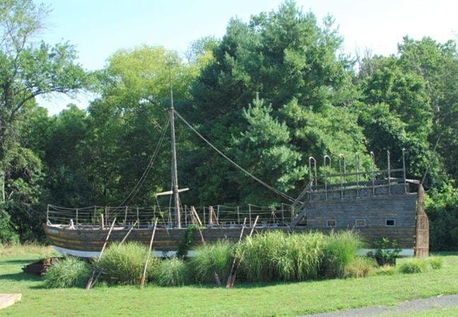 Tree Walk-Lewis & Clark Exploratory Center at Darden Towe-CATS Members Only