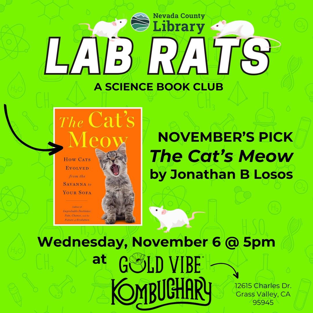 Lab Rats Book Club @ Gold Vibe Kombuchary