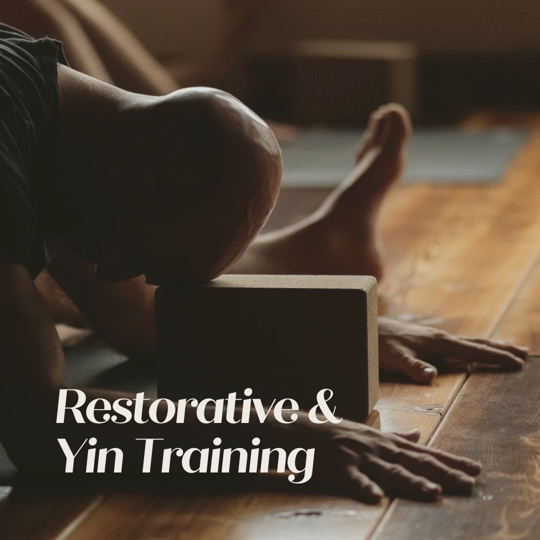 Restorative & Yin Training - 2 Modules