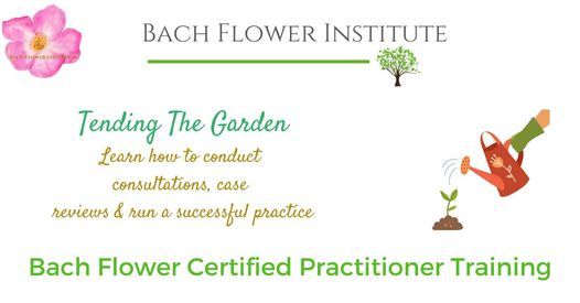 Practitioner Course - Level 3 - PACIFIC - ONLINE