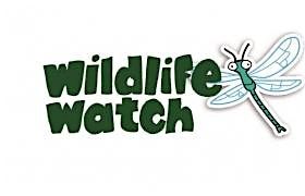 Wildlife Watch at The Wolseley Centre