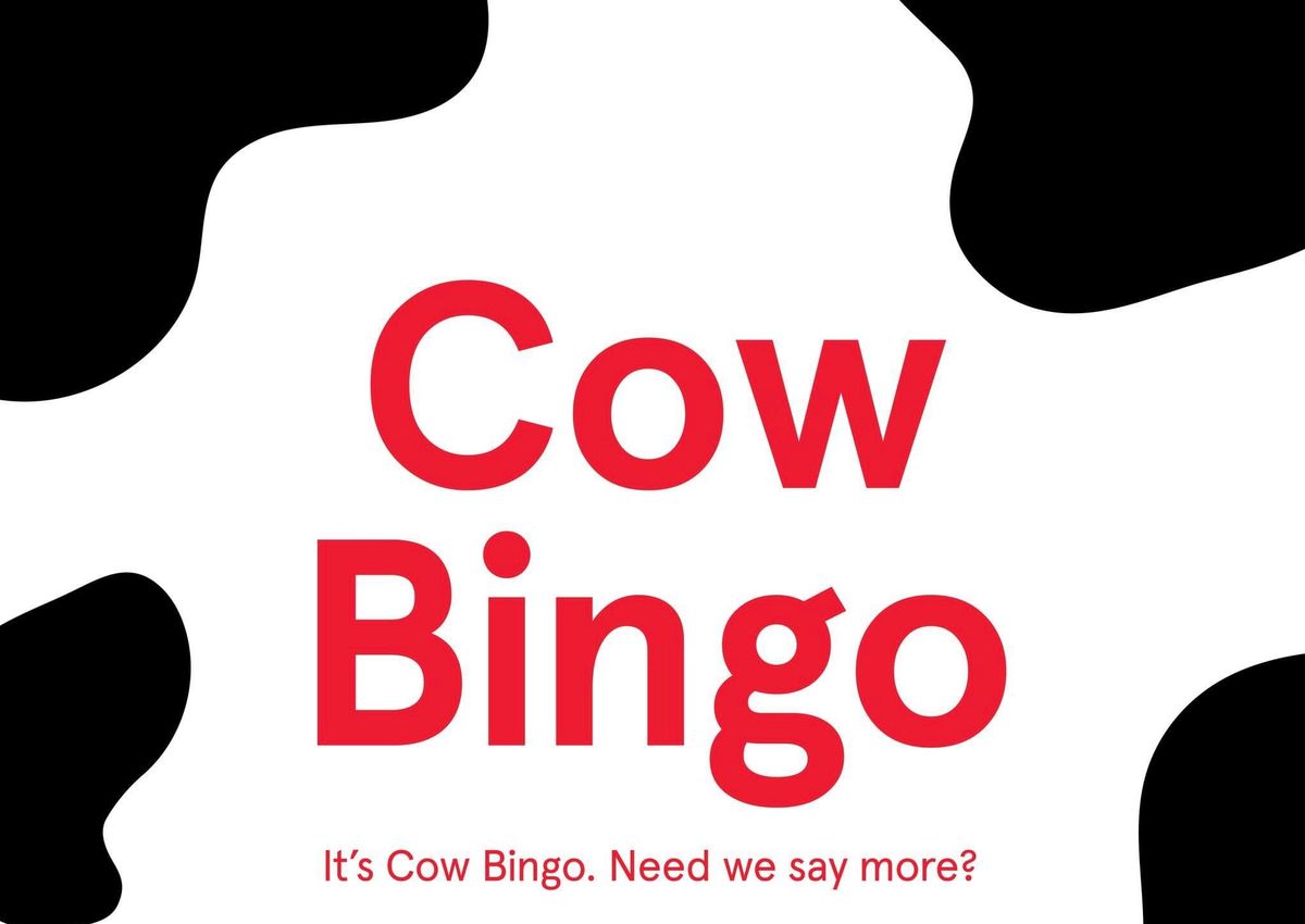 Cow Bingo