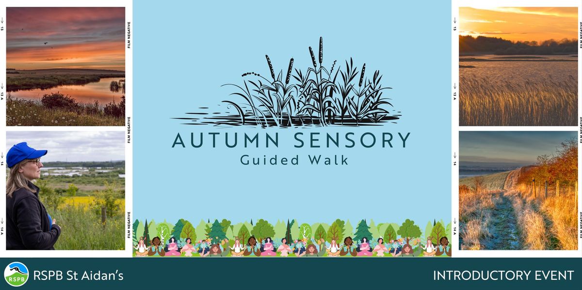 Autumn Sensory Walk- RSPB St Aidan's