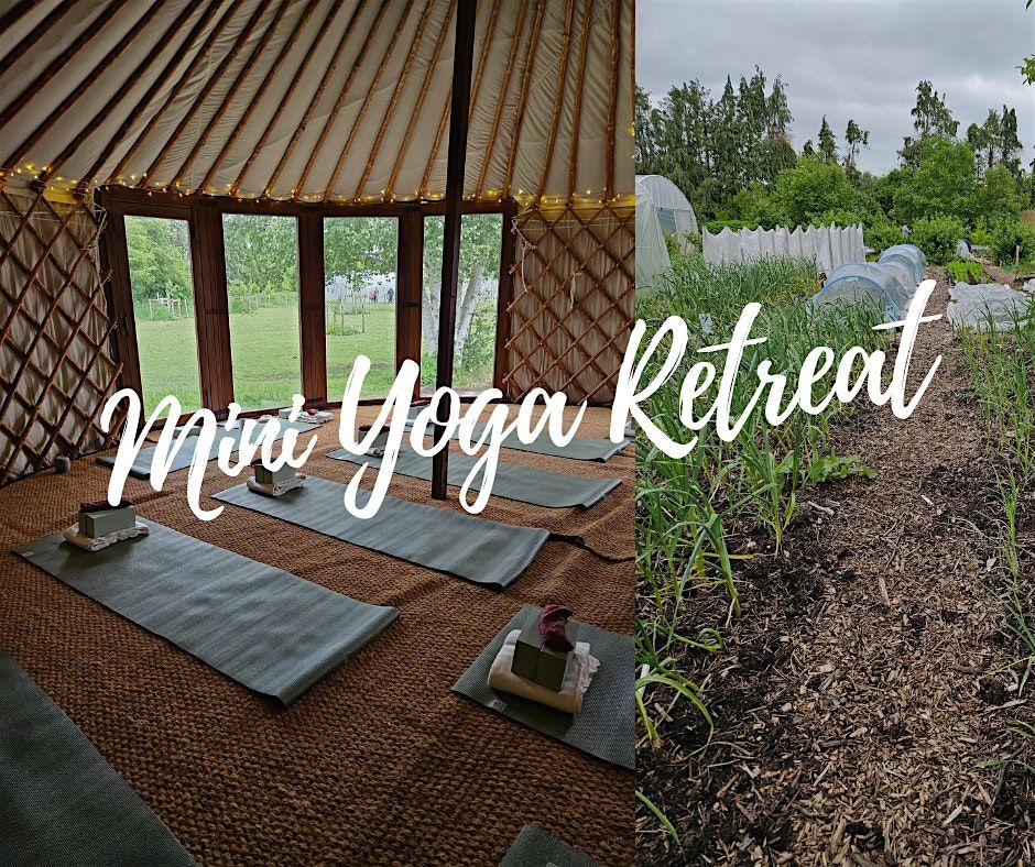 Mini Yoga Retreat at the Yurt