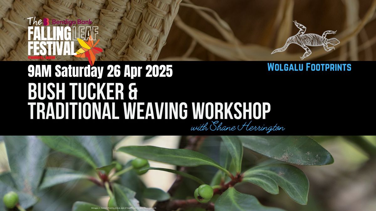 Bush Tucker & Traditional Weaving Workshop with Shane Herrington