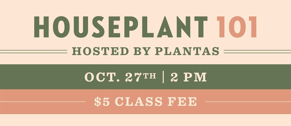 Houseplant 101 at Pinthouse Pizza South Lamar