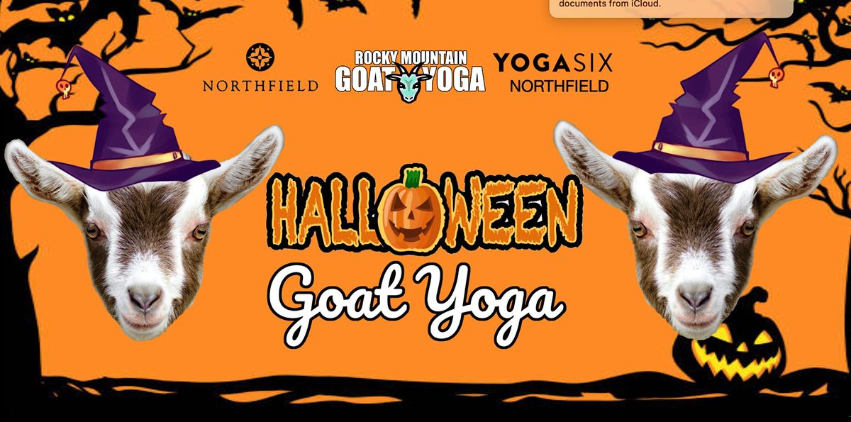 Halloween Goat Yoga - October 14th (YOGA SIX - NORTHFIELD)