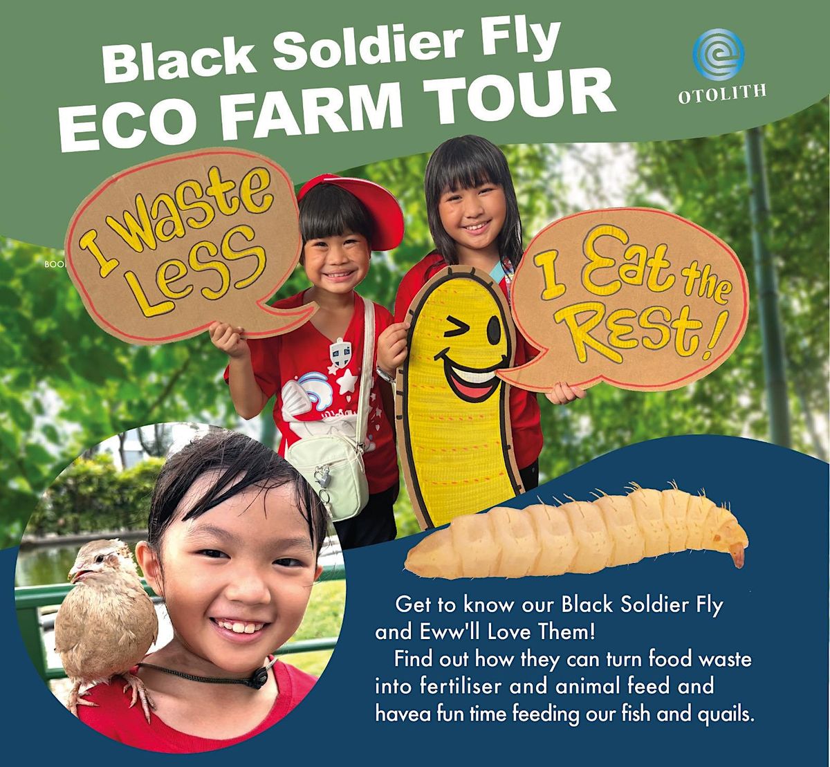 Black Soldier Fly (BSF) Eco Farm Tour