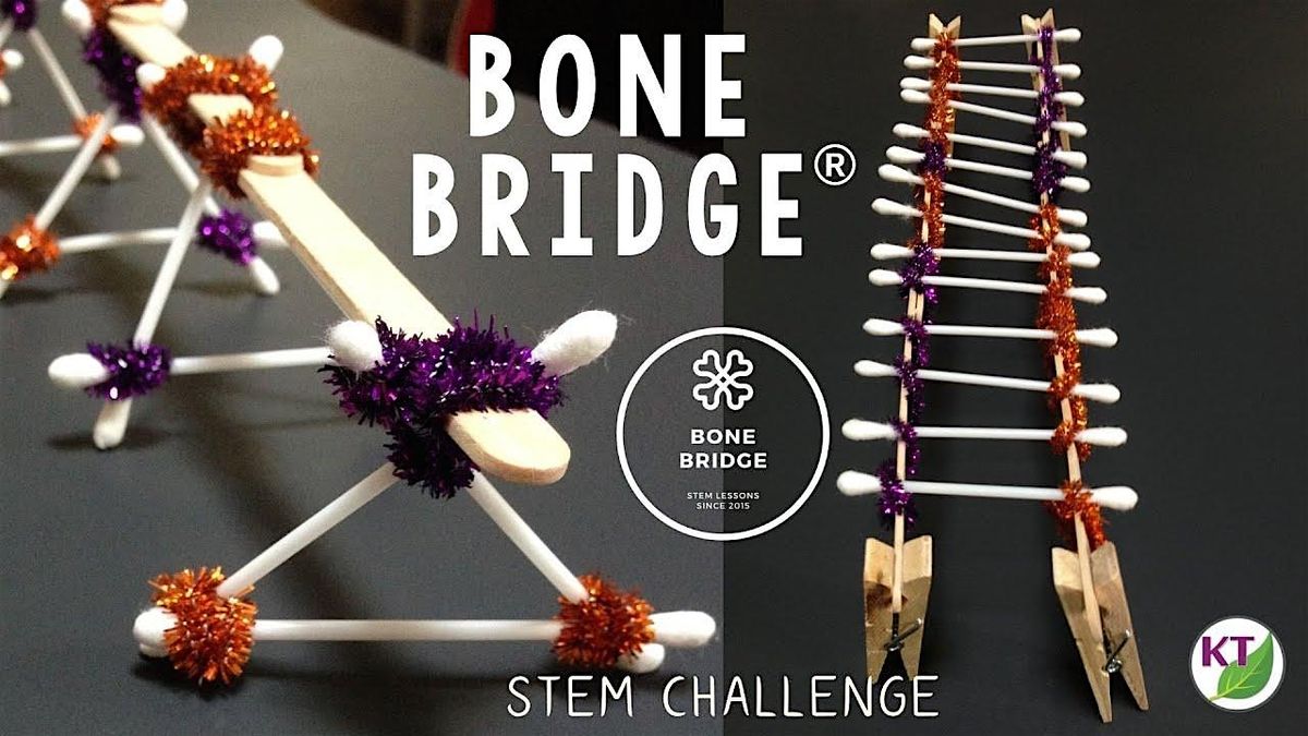 STEM Bone Bridge