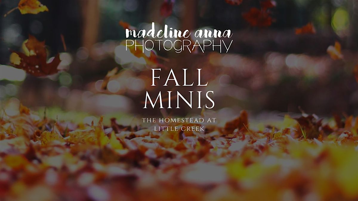 Fall Minis at The Homestead