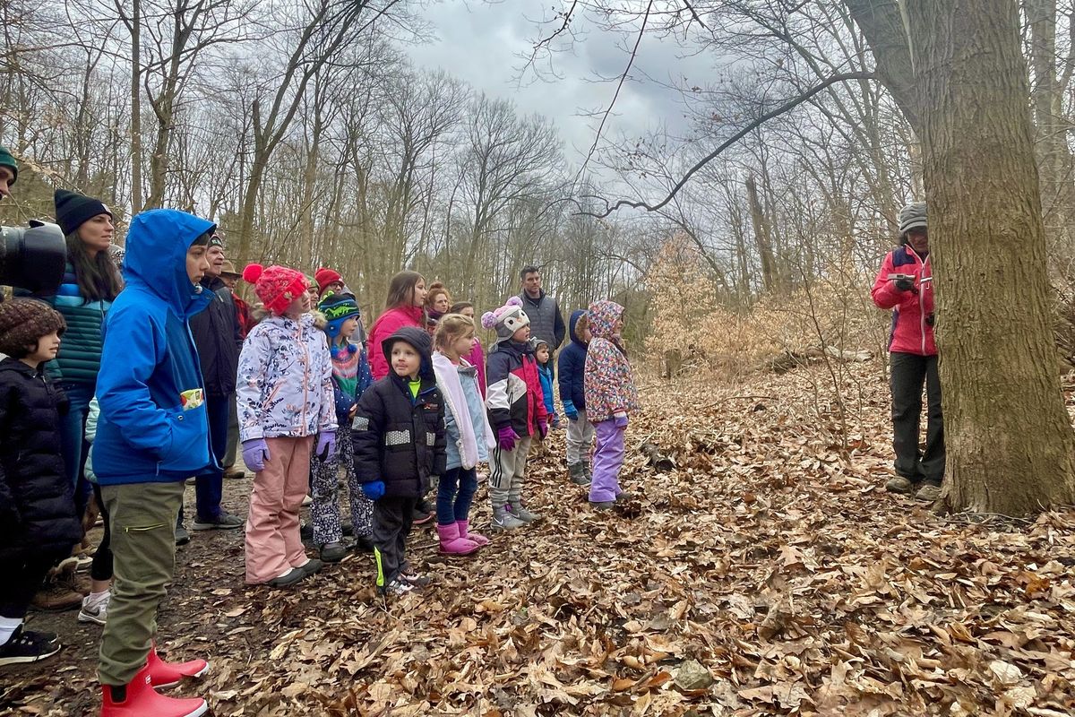 Maple Syruping at Bird Park - Mt. Lebanon Nature Conservancy