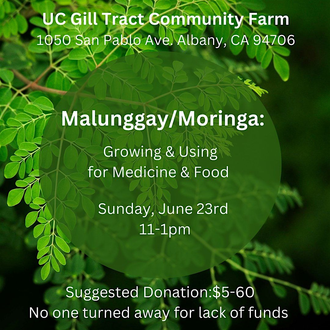 Malunggay\/Moringa: Growing & Using for Medicine & Food
