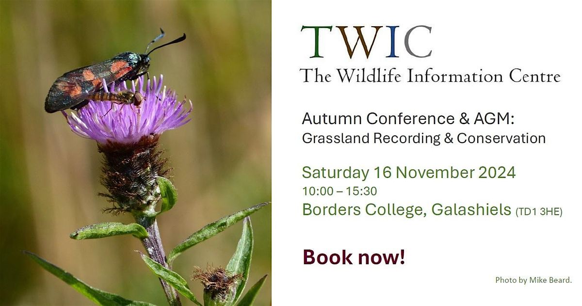 TWIC Autumn Conference: Grassland Recording & Conservation