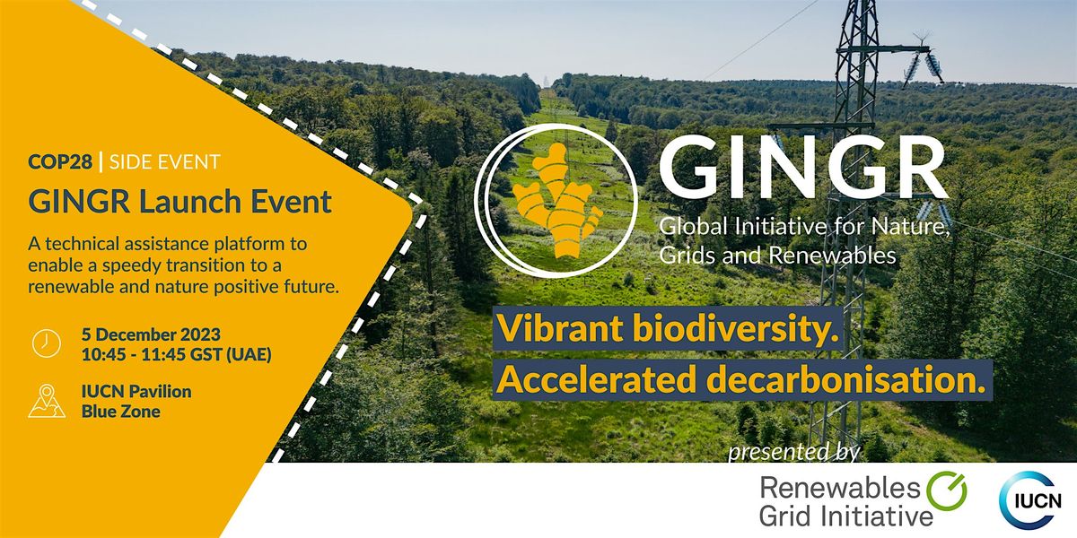 GINGR Launch Event