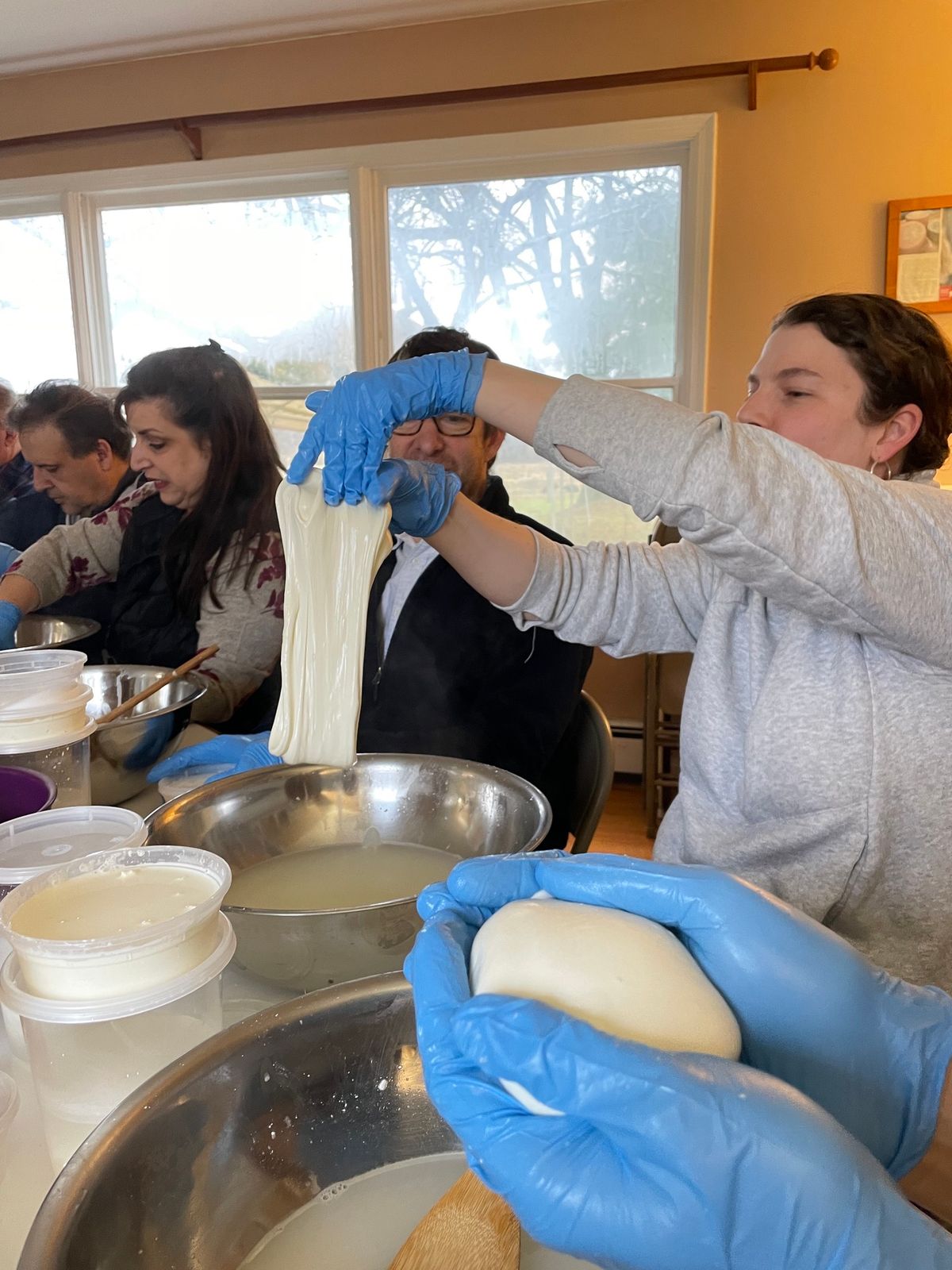 Mozzarella from Scratch