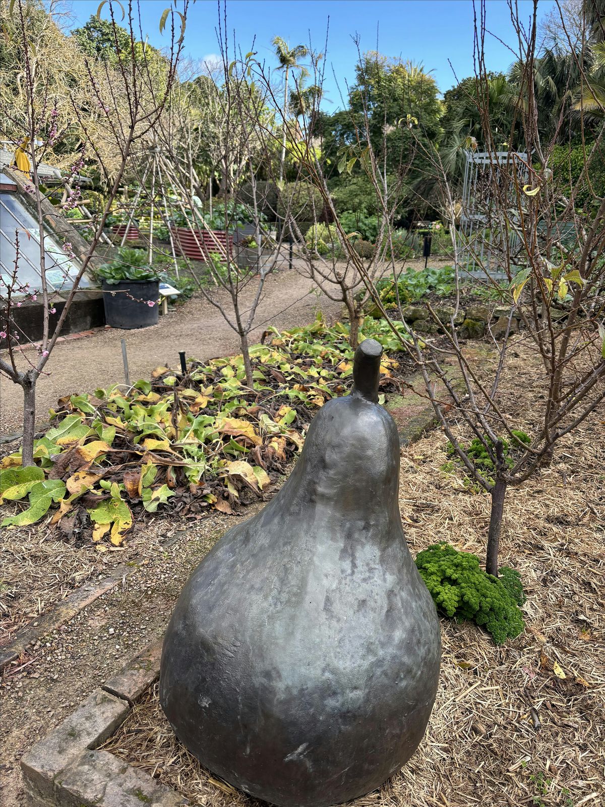 Introduction to Horticulture - Geelong Botanic Gardens