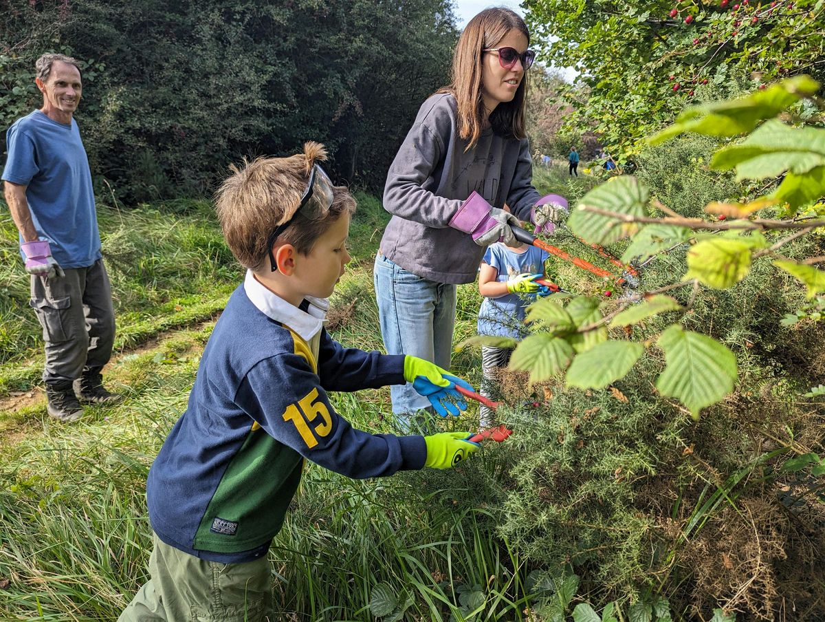 Family Fun Friday - Ranger for the Day - Family Event